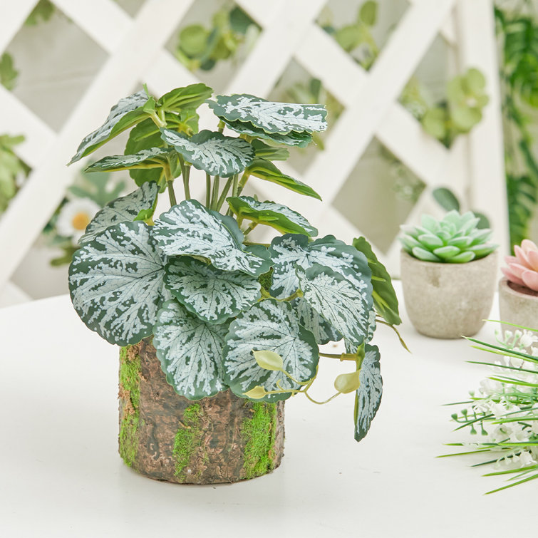 The Seasonal Aisle 22cm Faux Elephant Ear Plant in Planter Wayfair.co.uk